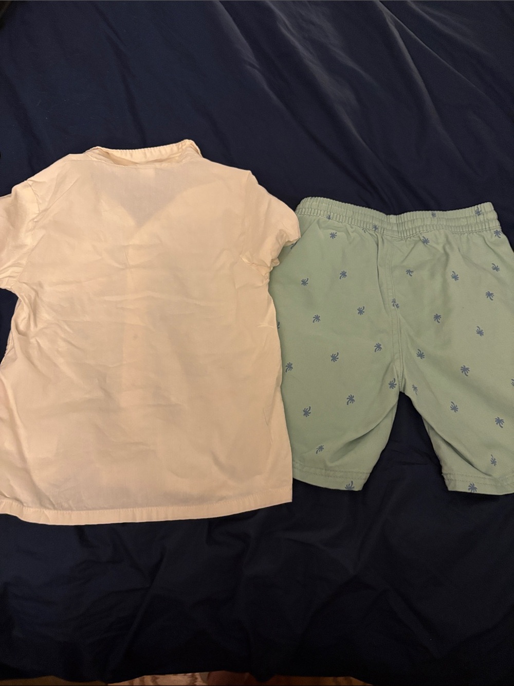 Tropical Embroidered Button-Up Shirt & Palm-Print Shorts Set Boys 5T - Picture 5 of 5